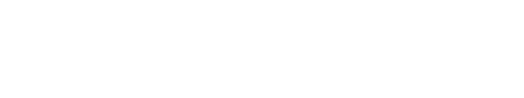 vip-shuttle.com